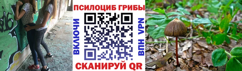 Псилоцибиновые грибы прущие грибы  дарнет шоп  Кулебаки 
